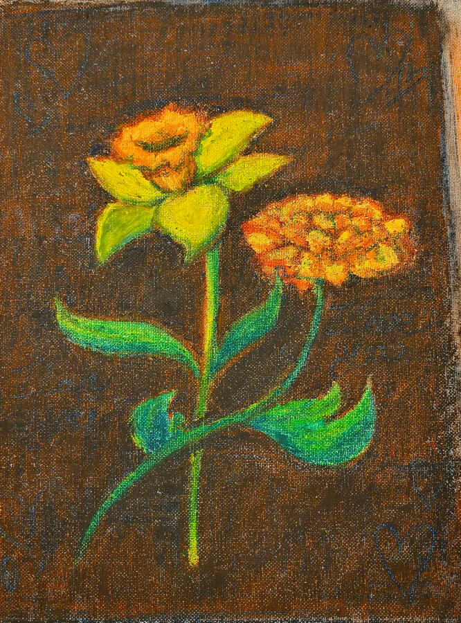 daffodil &amp; Marigold